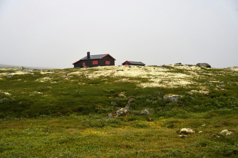 En isolert hytte på fjellet omgitt av grønt landskap og steiner, perfekt for en rolig ferie i naturen.